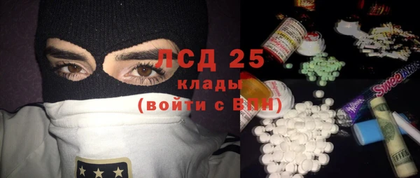 индика Нефтекумск