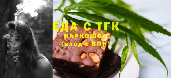 хмурый Ельня