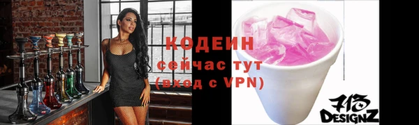 хмурый Ельня
