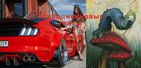 ешки Дмитровск