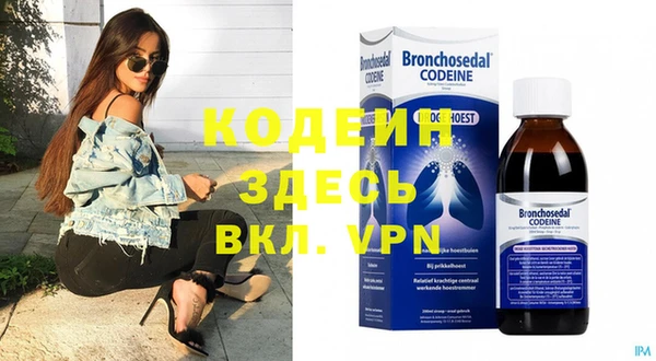 хмурый Ельня
