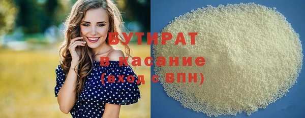 хмурый Ельня