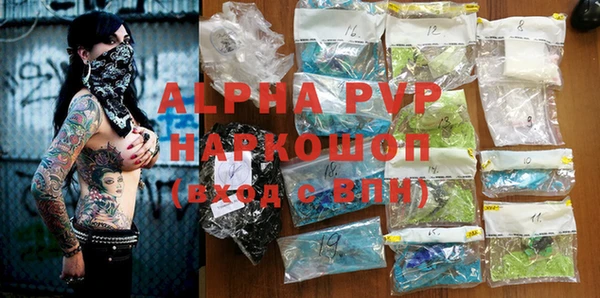 хмурый Ельня